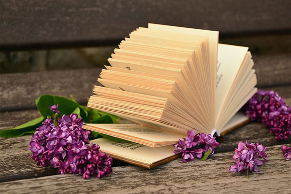 The Ten Most Important Books to Expand Your Mind